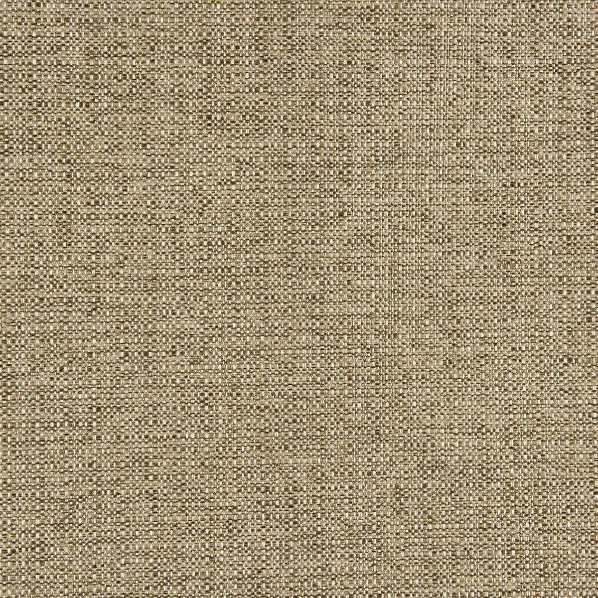 (R1-121) Muscle Fabric