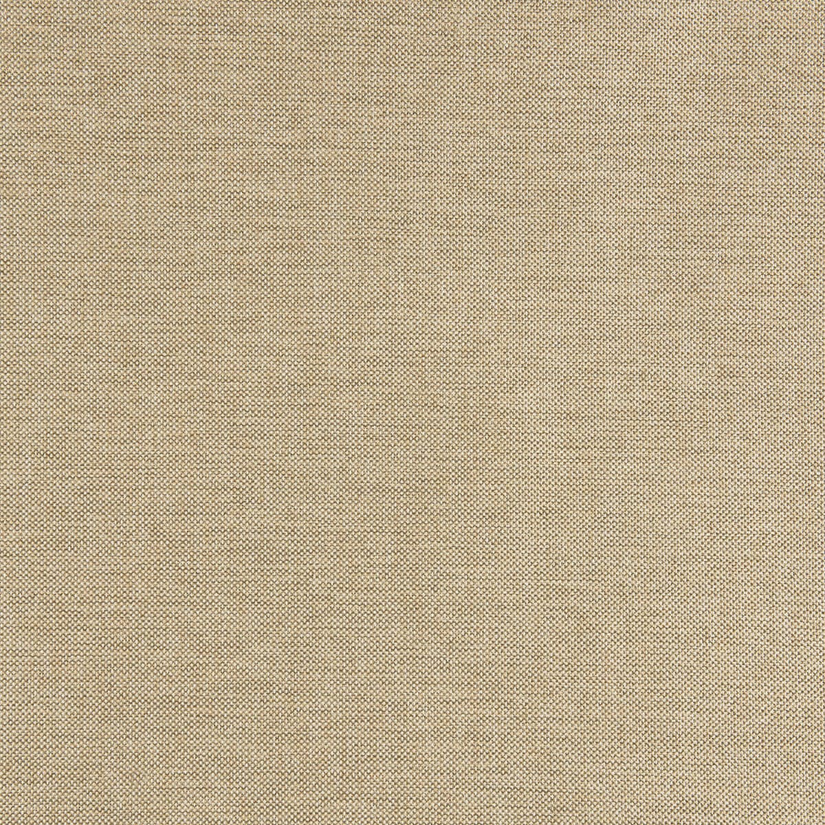(R1-133) Daisy Fabric