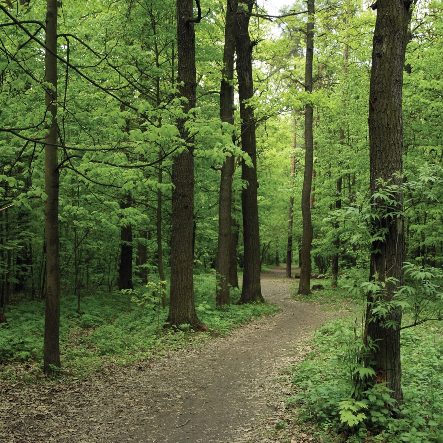 Lodge Furniture Kings Impressions