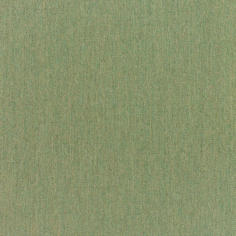 Canvas Fern