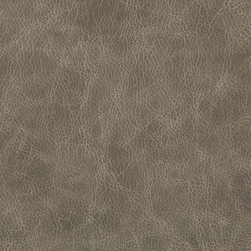 Fossil Leather