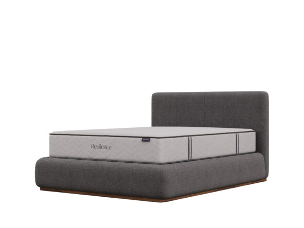 Resilience adjustable mattress on bed frame, King's Impressions Lancaster PA